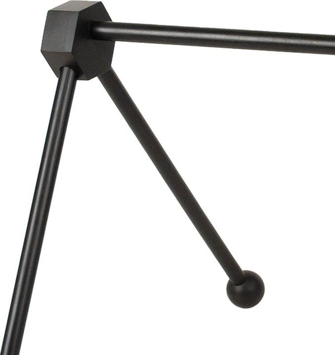 Immagine prodotto Babytrold Palestra per bambini in legno nera