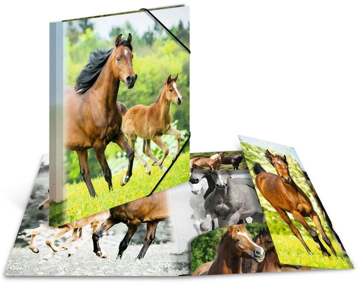 Produktbild HERMA Sammelmappe A4 Motiv (A4, 1x)