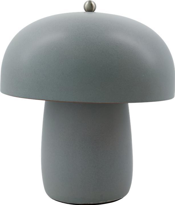 Image du produit Xiaomi Lampe de table, HDMoss, Gris (E27)