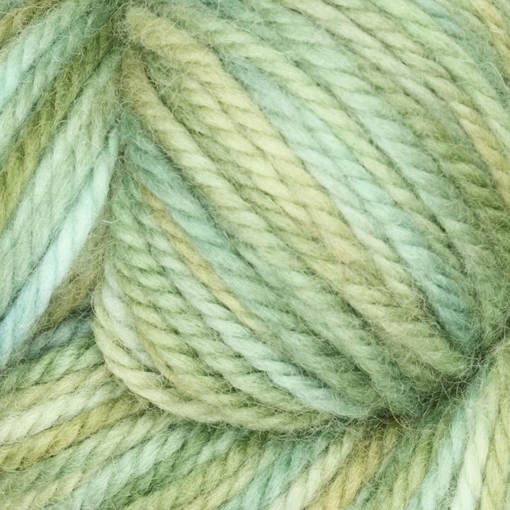 Meadow Grass