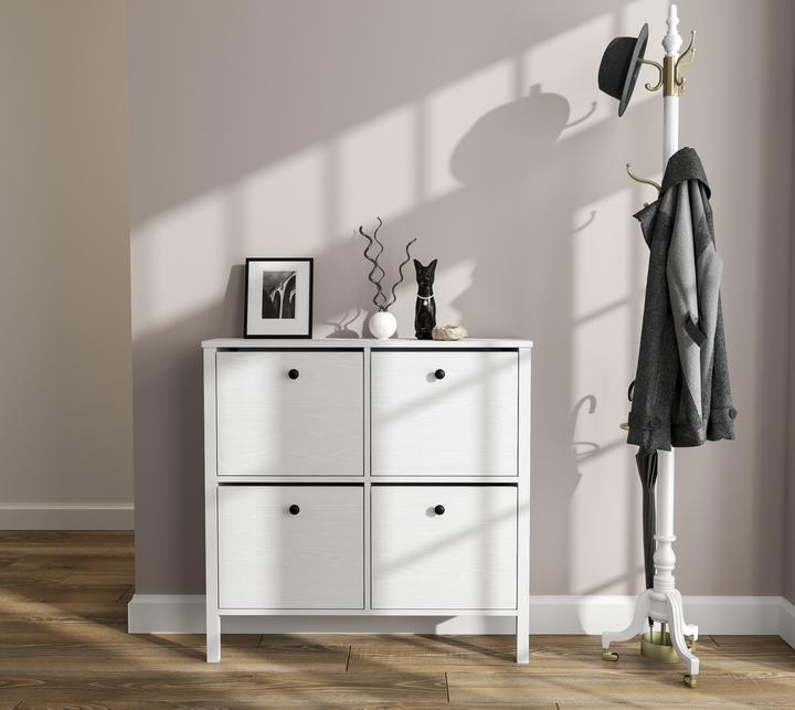 Immagine prodotto Skye Decor Stelo Shoe Cabinet (101 x 28.50 x 100 cm)