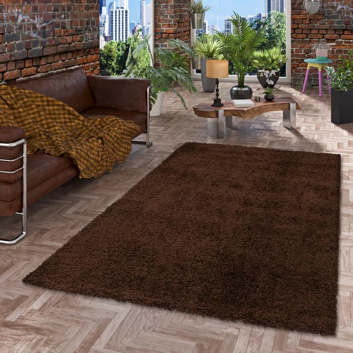 Produktbild Pergamon Hochflor Langflor Shaggy Teppich Fluffy (120 x 170 cm)