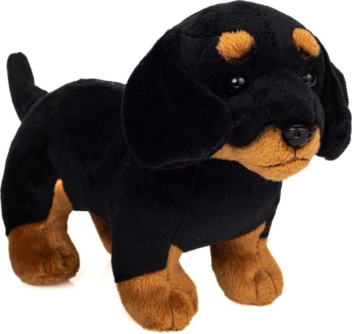 Immagine prodotto Teddy Hermann Dachshund (Assortiert) (21 cm)