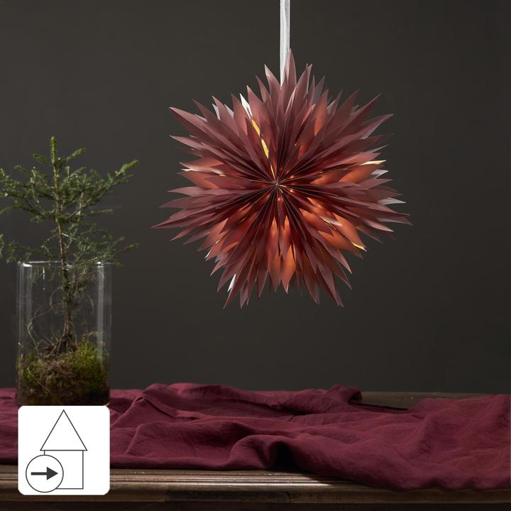 Produktbild Star Trading Papier Stern Dis