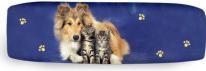 Kögler Collie/2 Katzen Federmappe Colorline, Smile-Bags 2
