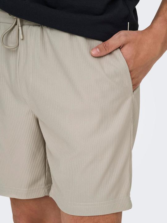 Actual product image Only & Sons Onstel Life Plizze Shorts Noos (XL)