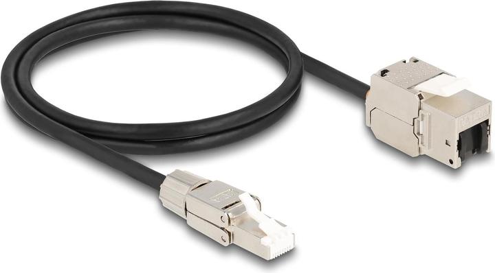 Image du produit Delock Câble RJ45 mâle confectionnable en champ (S/FTP, 1 m)
