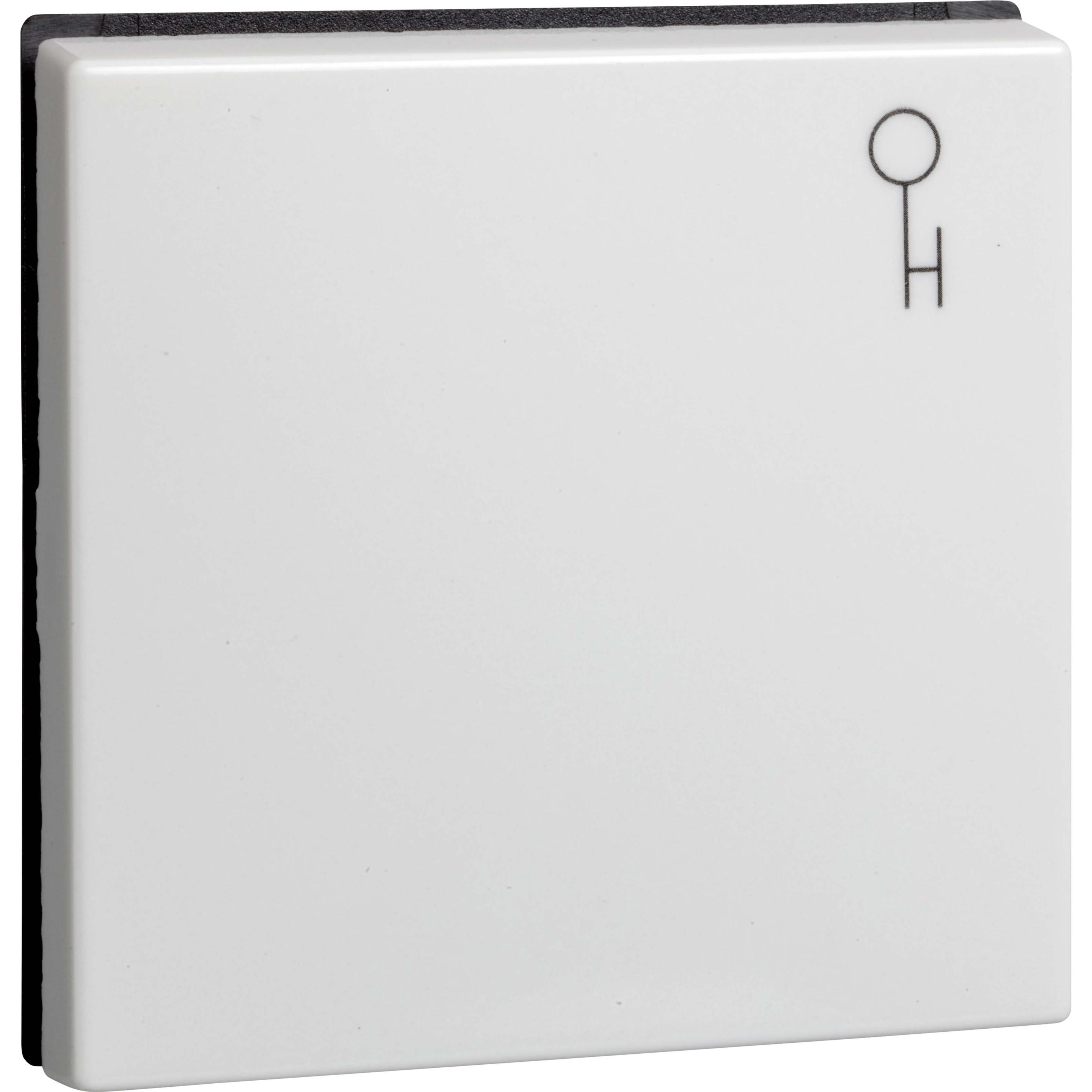 Schneider Electric, Zubehör Schalterprogramm, Wippe