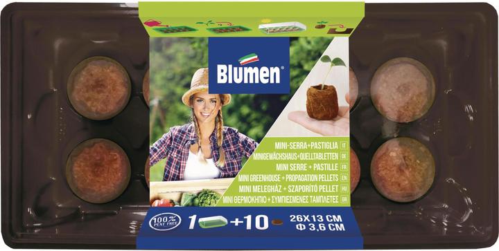 Blumen Gewächshaus mit 10 Kokosquelltabletten