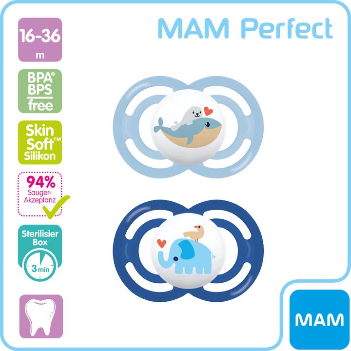 Actual product image MAM Perfect Nuggi Silikon 16-36 Monate (2 x, 16 - 36 M.)