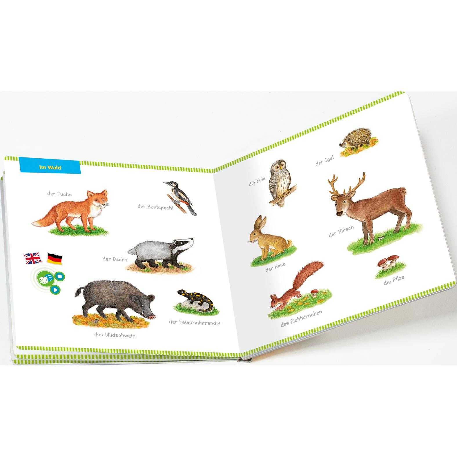 Thumbnail - BOOKii Mein Bildwörter-Buch Tiere, Kinderbücher von Irmtraut Teltau, Petra Nacke, Tessloff Verlag Ragnar Tessloff GmbH &...