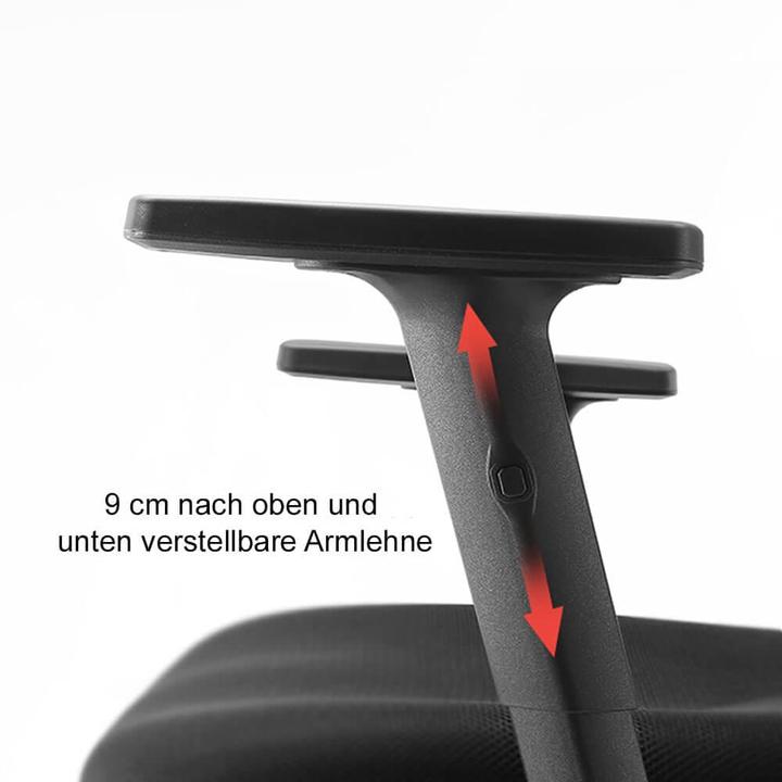 Image du produit Sihoo Chaise de bureau