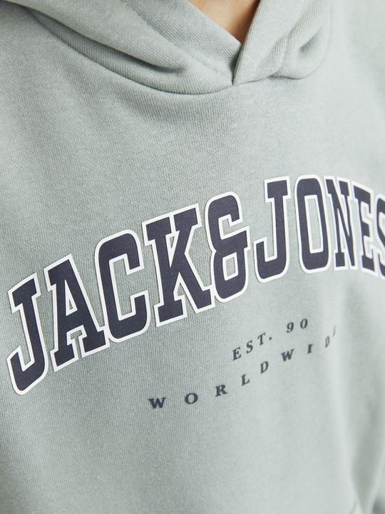 Image du produit Jack & Jones Jjecaleb Varsity Sweat Hood Noos Jnr (164)
