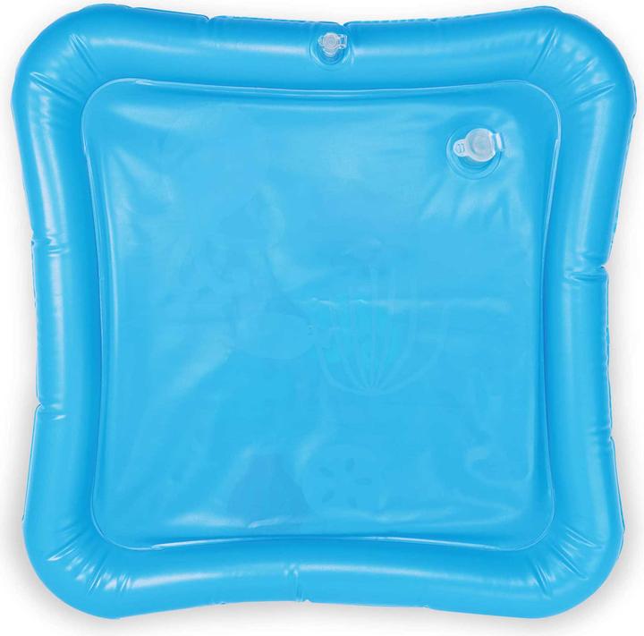 Actual product image Baby Einstein Opus’s Ocean of Discovery