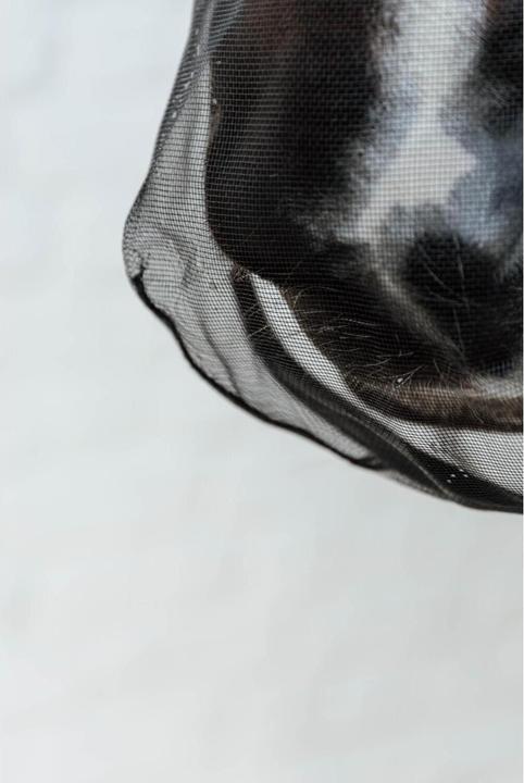 Produktbild Kentucky Horsewear Nasennetz