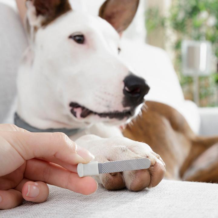 Produktbild InnovaGoods Krallenschere mit LED-Licht für Hund und Katze (Hund, Katze)