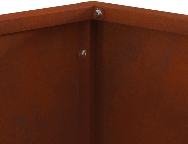 Immagine prodotto vidaXL Feuerstelle (60 cm)