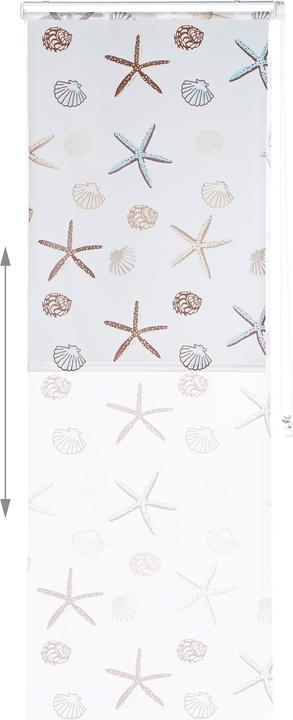Immagine prodotto Relaxdays Tenda a rullo OCEAN (80 x 5 x 240 cm)