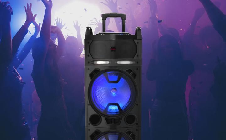 Actual product image Aiwa Earthquake KBTUS-900 (Passive, 1x 100 W)