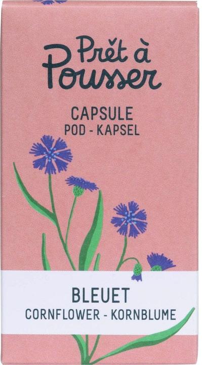 Prêt à Pousser Saatgut Kornblume (Blumensamen)