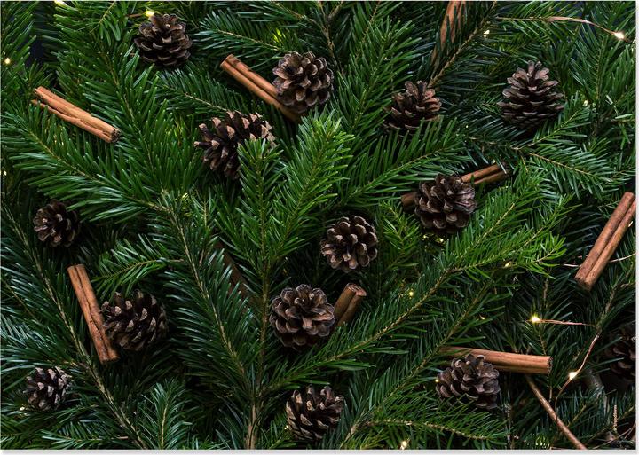 Produktbild Trendform Deep Forest (42 x 29.70 cm)