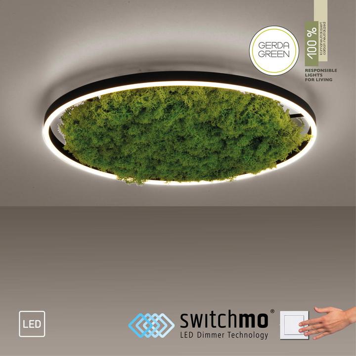 Produktbild Leuchten Direkt Green Ritus (3650 lm)