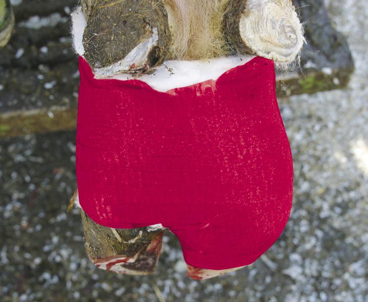 Actual product image Kerbl Claw bandage VETlastic