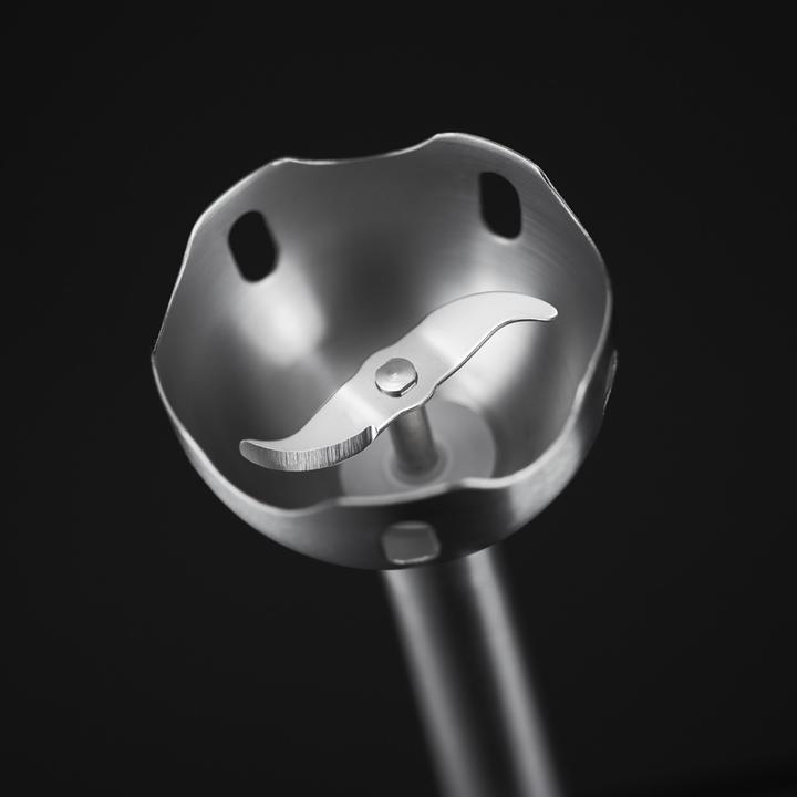 Image du produit Russell Hobbs 24690-56 Mixeur plongeant Desire