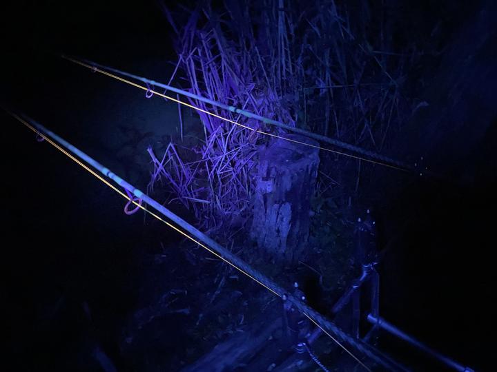 Produktbild Vipex Uv-Blacklight