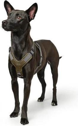 Actual product image Hunter Harness Aalborg Mixed for dogs olive M/L (M, L, Dog, Dog sport)