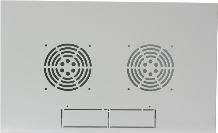 Actual product image Intellinet 19" wall distributor (10.87 RU, 19 inch rack)