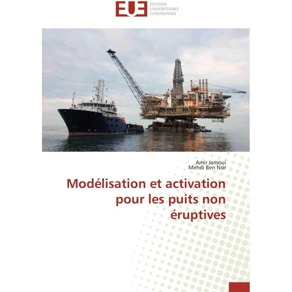 Modélisation et activation pour les puits non éruptives, Fachbücher von Mehdi Ben Nsir, Amir Jamoui