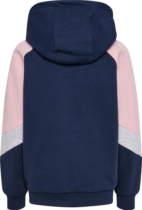 Produktbild hummel Hmljr Loose Blocked Hoodie (104)