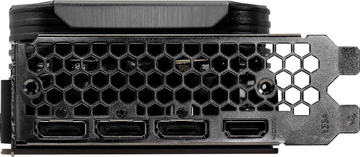 Image du produit Gainward GeForce RTX 3090 Phoenix (24 Go)