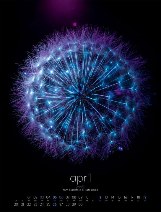 Produktbild in bloom Kalender 2026 (50 x 66 cm)