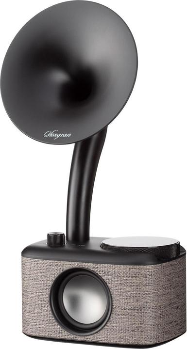 Actual product image Sangean CP 100D (DAB+, FM, Bluetooth)