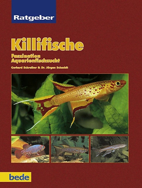 Image du produit Ratgeber Killifische (Allemand, Jürgen Schmidt, 2000)