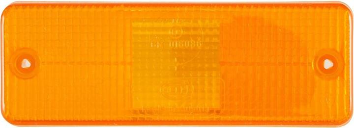 Actual product image Hella lens for CASE