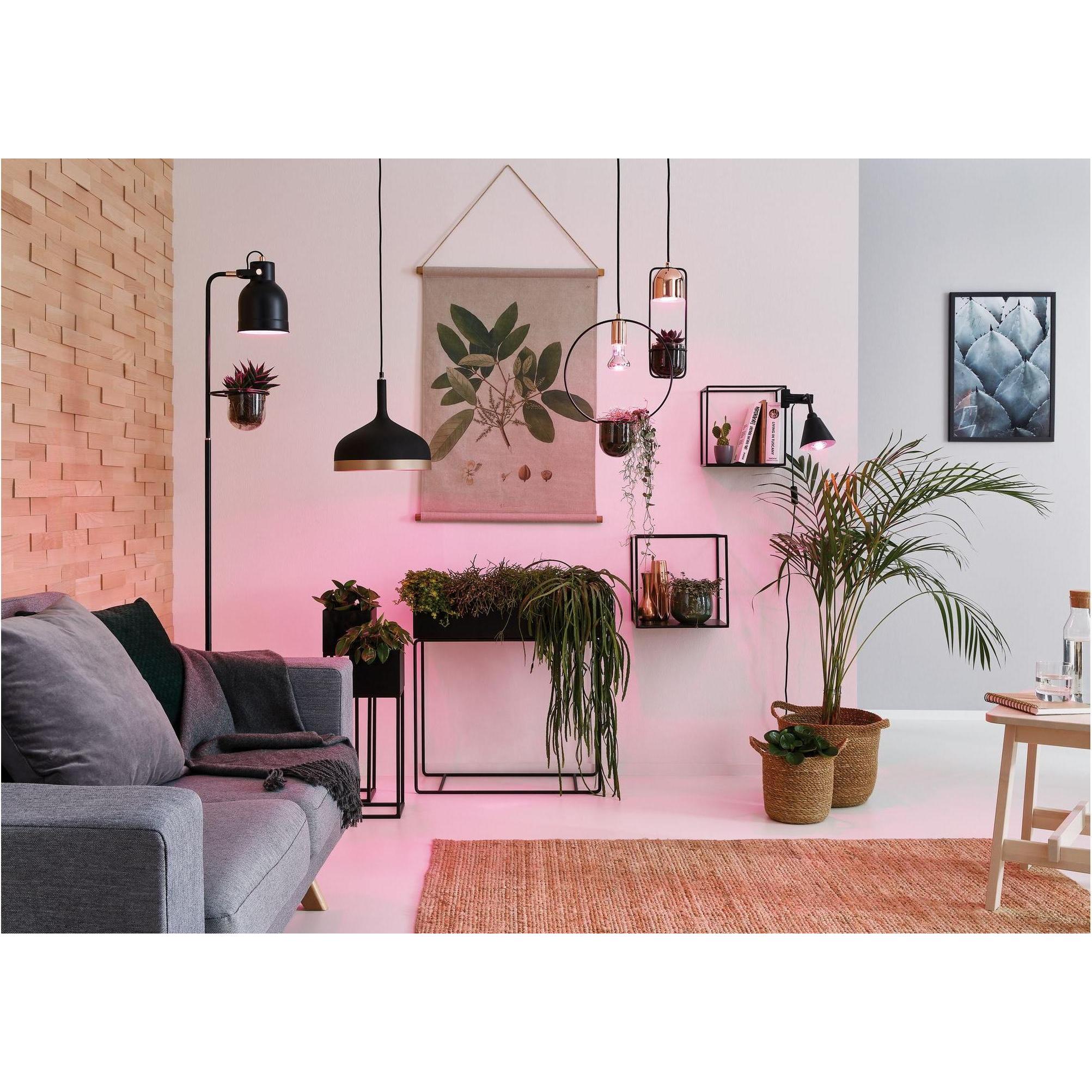 Thumbnail - Paulmann, Pflanzenlampe, Pflanzenlampe (LED, 230 V)
