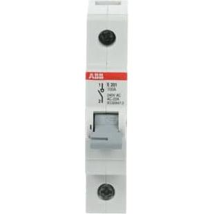 ABB E201/100G E201/100G Sezionatore E201/100G, Accessori di elettronica + Alloggiamento, Grigio