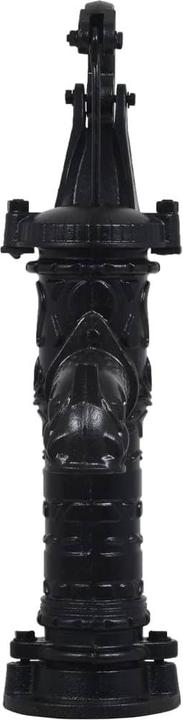 Image du produit vidaXL Schwengelpumpe