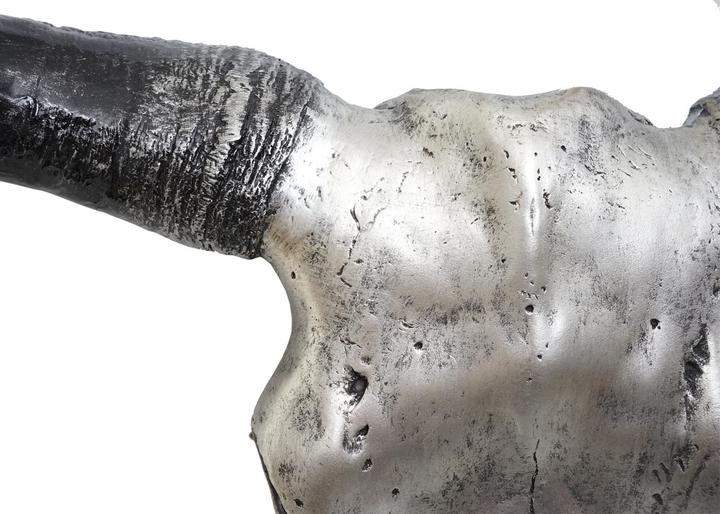 Image du produit Swisshandel24 Crâne de taureau (42 x 15 x 45 cm)