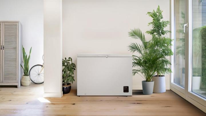 Actual product image Gorenje FH30EAW (Stand-alone, 297 l)