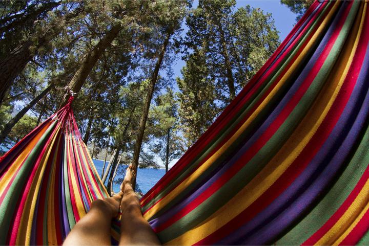 Immagine prodotto Easypix Supporto da petto GoXtreme