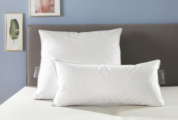 Produktbild Badenia Trendline Federkissen Princess (40 x 80 cm)