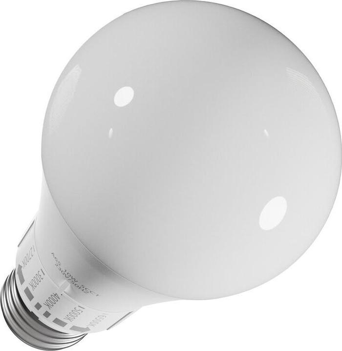 Produktbild ZAR.LED 10W E27 EINSTELLBARE GLOBE SPEKTRUM WOJ14715 (E27, 1100 lm)