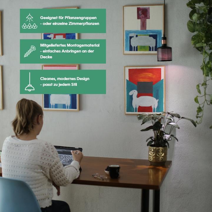 Produktbild Venso Vega