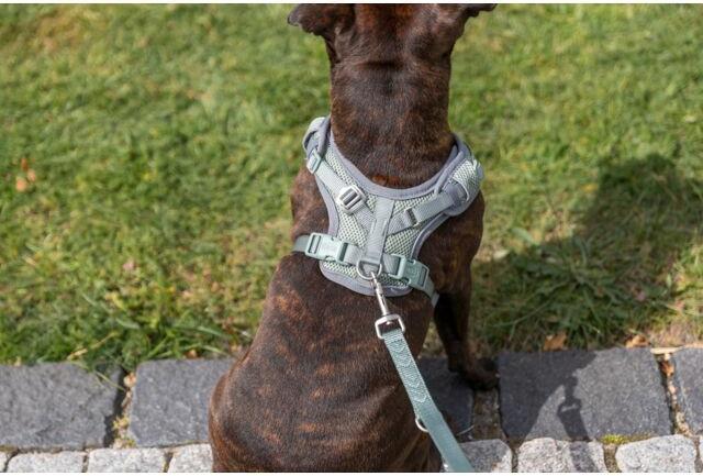 Image du produit Trixie Premium FlexMesh harness, wide fit,L:63–92cm/25mm,sage (L, Chien)