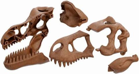 Actual product image Clementoni Galileo DISCOVERY - Ausgrabungs-Set - Riesenschädel des T-Rex