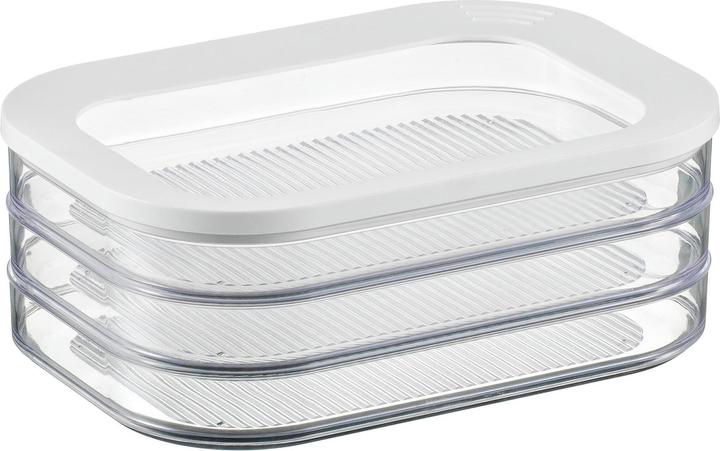 Rosti Mepal Fleisch Box Modula (1.65 l)